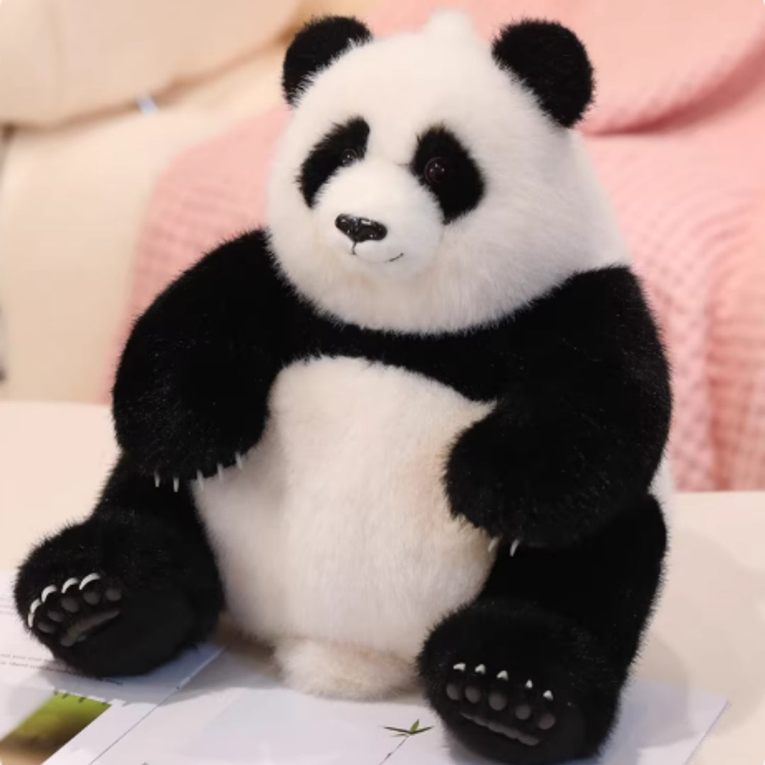 ebb4ce8b6febcff1822b968c403becc1