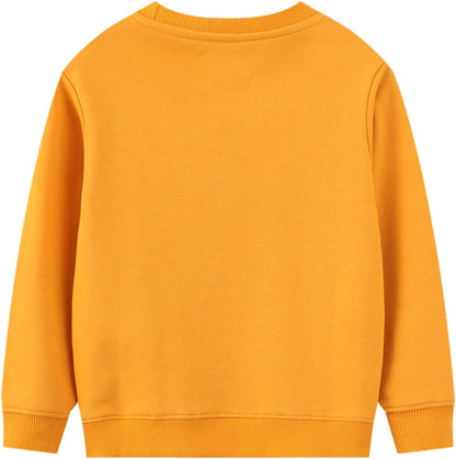 Toddler Boys Graphic Crewneck Sweatshirts 2-Pack, Sizes 2T-7